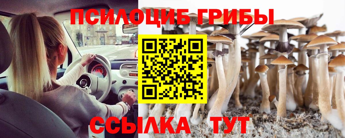 Галлюциногенные грибы мицелий Тольятти