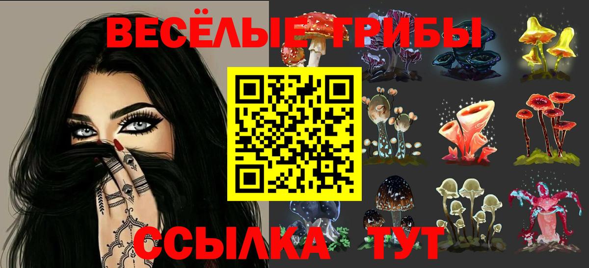 Тольятти  Псилоцибиновые грибы ЛСД  Вход с VPN 